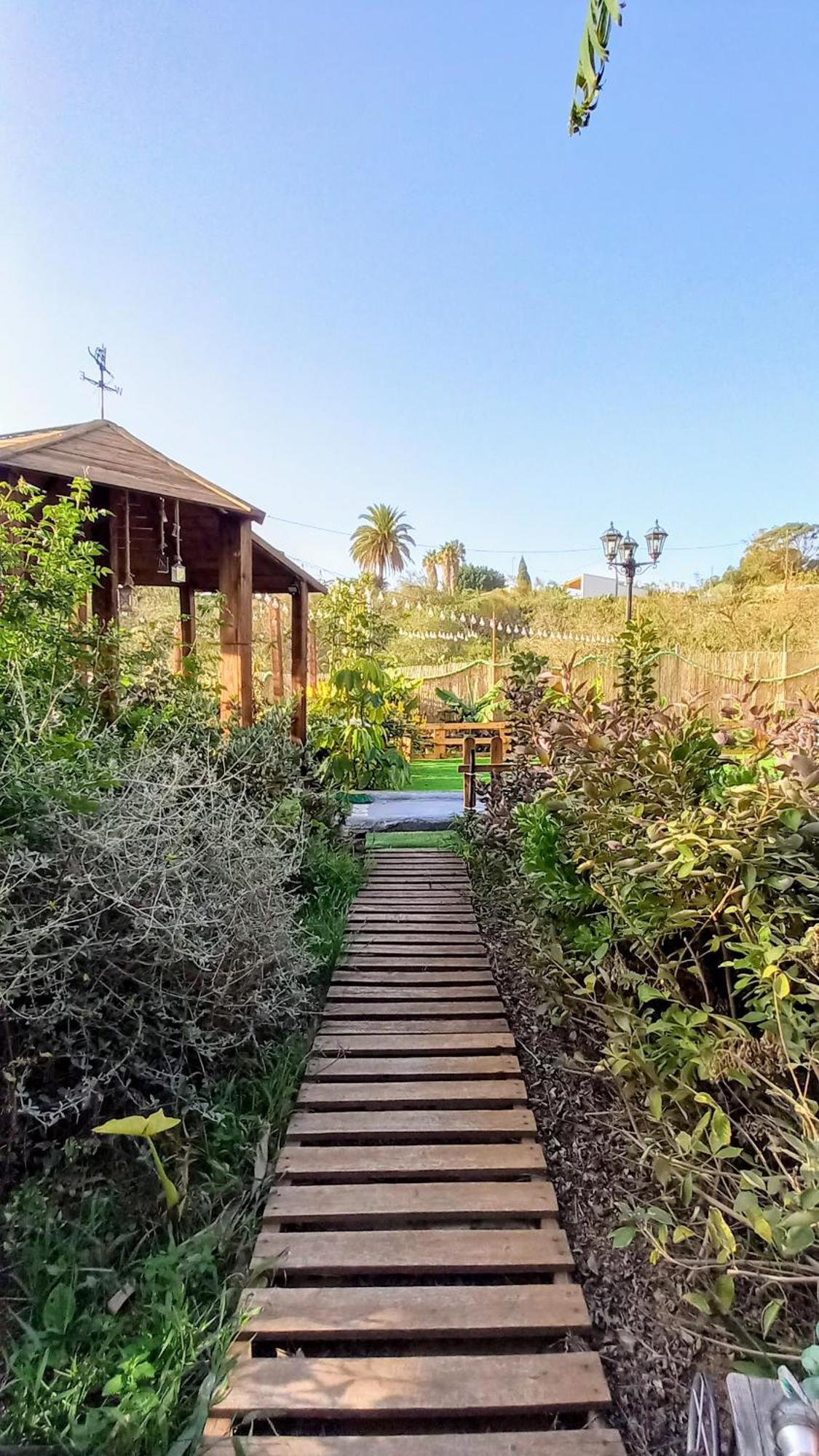 Finca Don Pedro Santa-Cruz de Ténérife Extérieur photo
