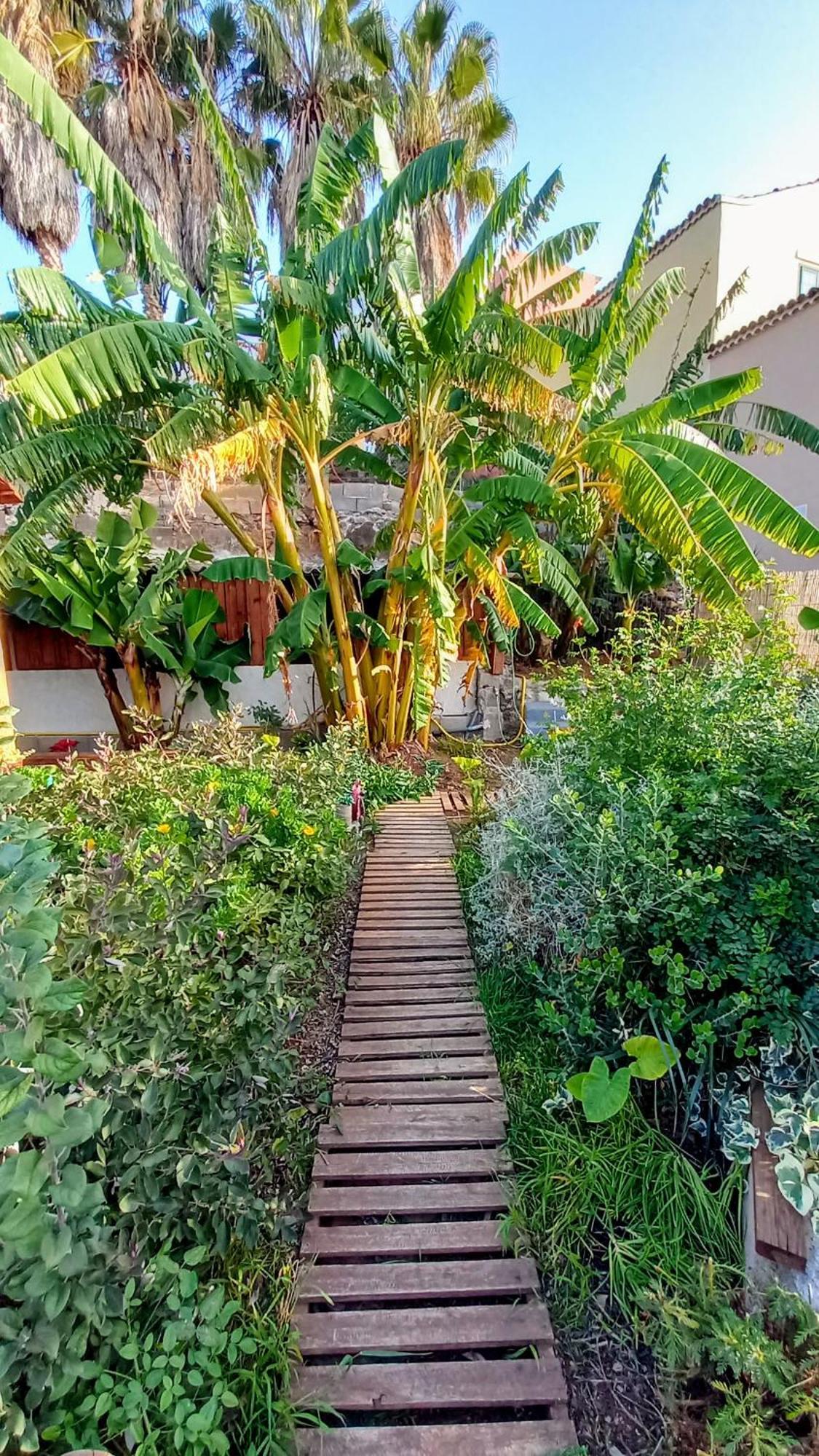 Finca Don Pedro Santa-Cruz de Ténérife Extérieur photo
